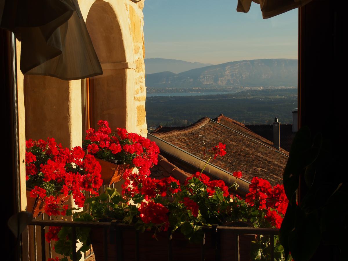 Bed and Breakfast Les Lumieres De Geneve Grilly Экстерьер фото
