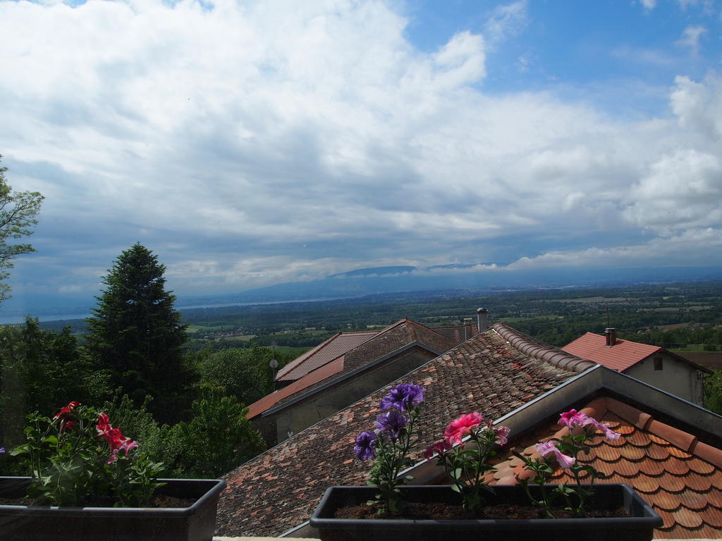 Bed and Breakfast Les Lumieres De Geneve Grilly Экстерьер фото
