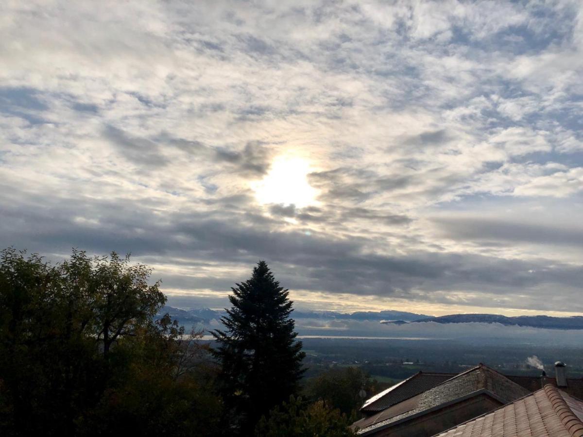 Bed and Breakfast Les Lumieres De Geneve Grilly Экстерьер фото